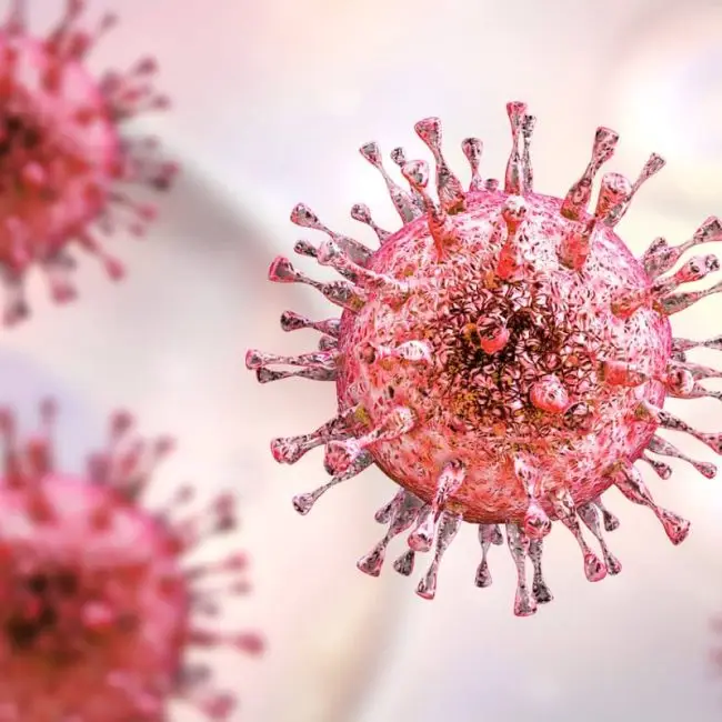 cytomegalovirus