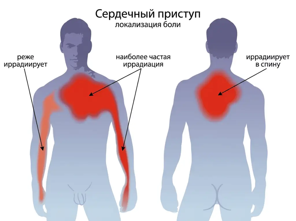 где болит сердце фото