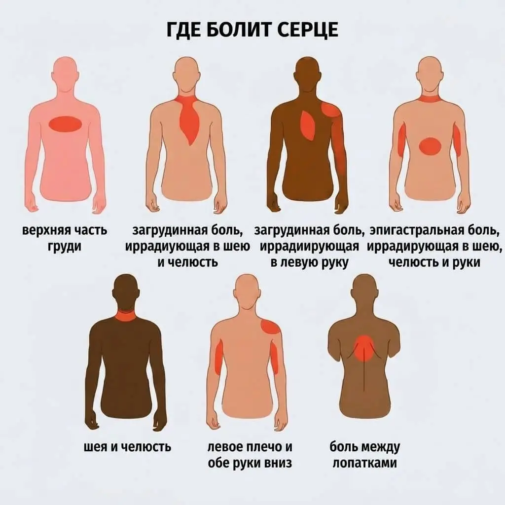 где болит сердце фото